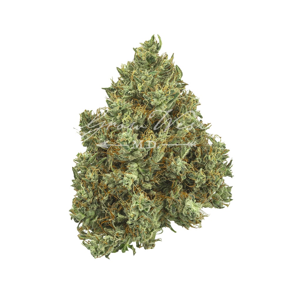 Lilac Diesel by Grow West