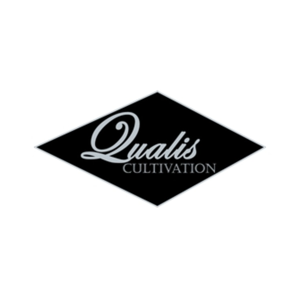 95 Runtz by Qualis