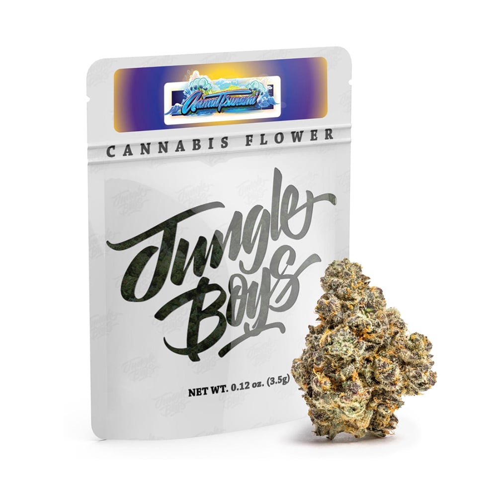 Animal Tsunami by Jungle Boys