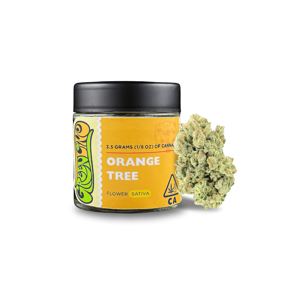 72bbd697-6c8a-4a5e-897c-