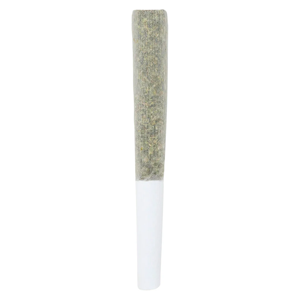AAA+ [.5g] by Crooked Dory