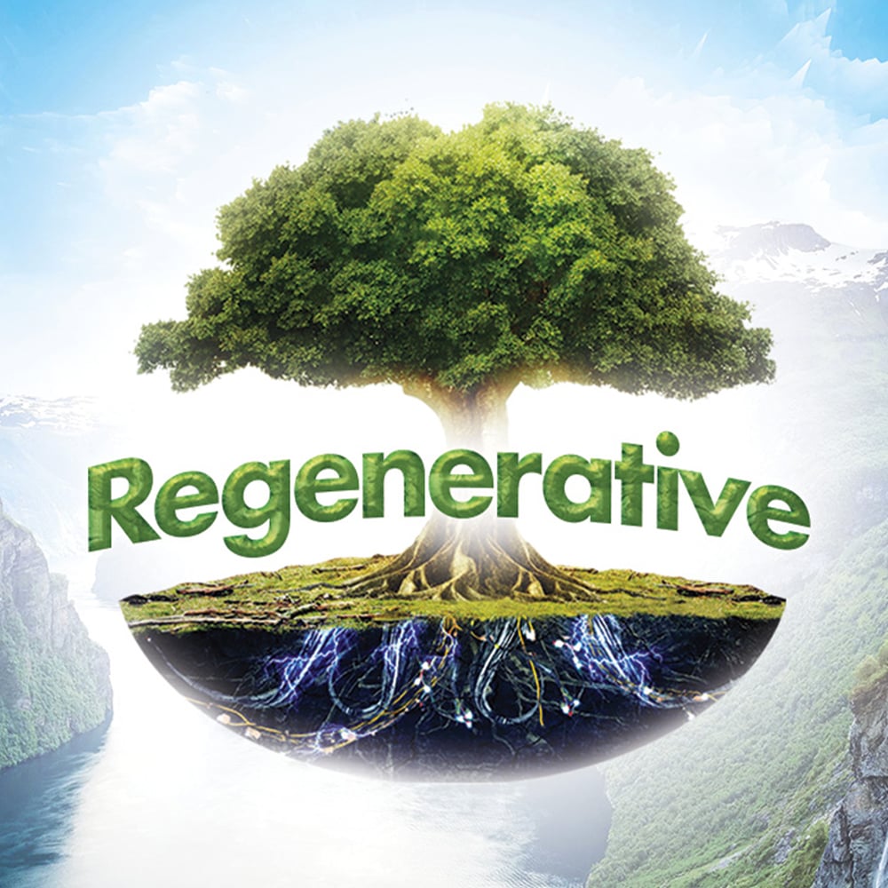 Apple Fritter by Regenerative