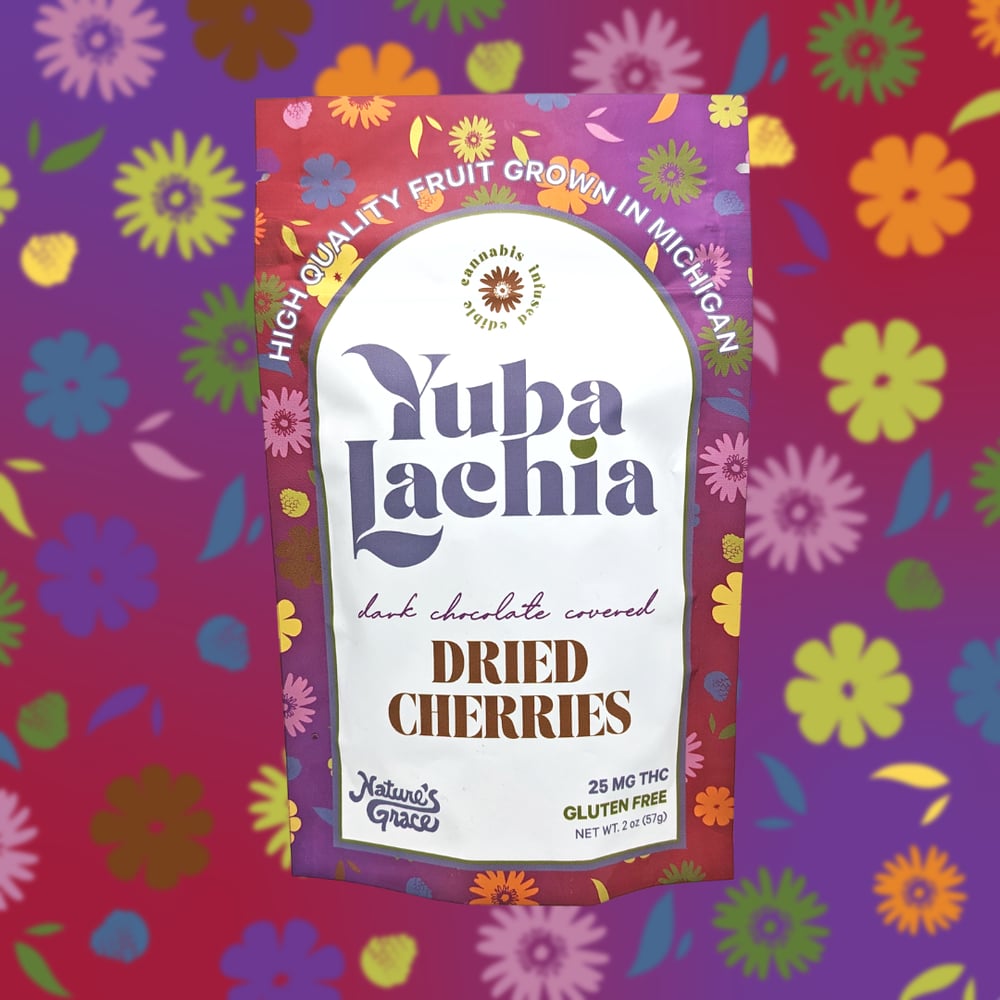 Dark Chocolate Covered Dried Cherries (25mg) by Yubalachia