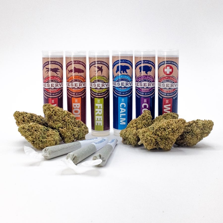 Apple Jack [.5g] by Walden Reserve
