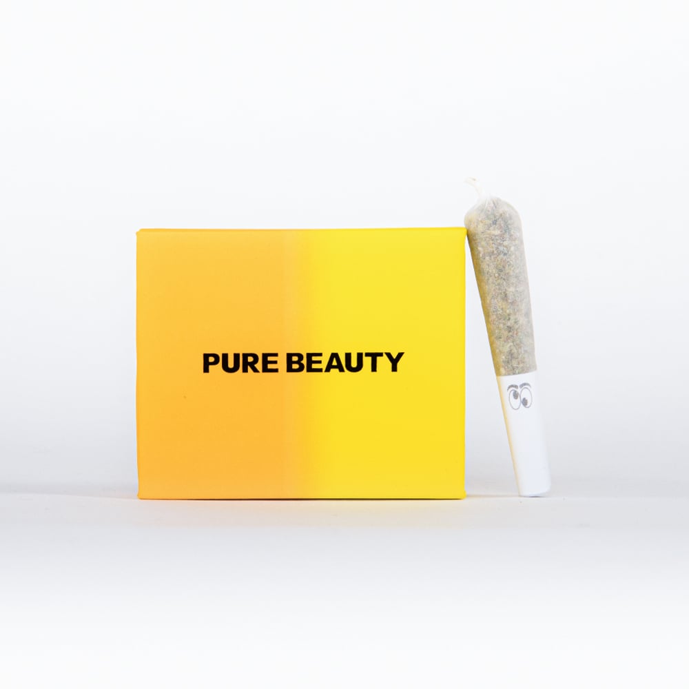 Sativa - Solventless Infused 5 Pack - 2g by Pure Beauty in United States