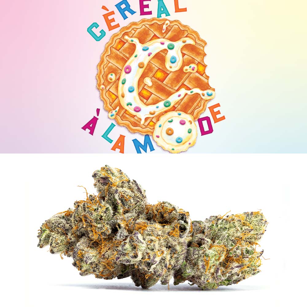 Cereal A La Mode by Cookies