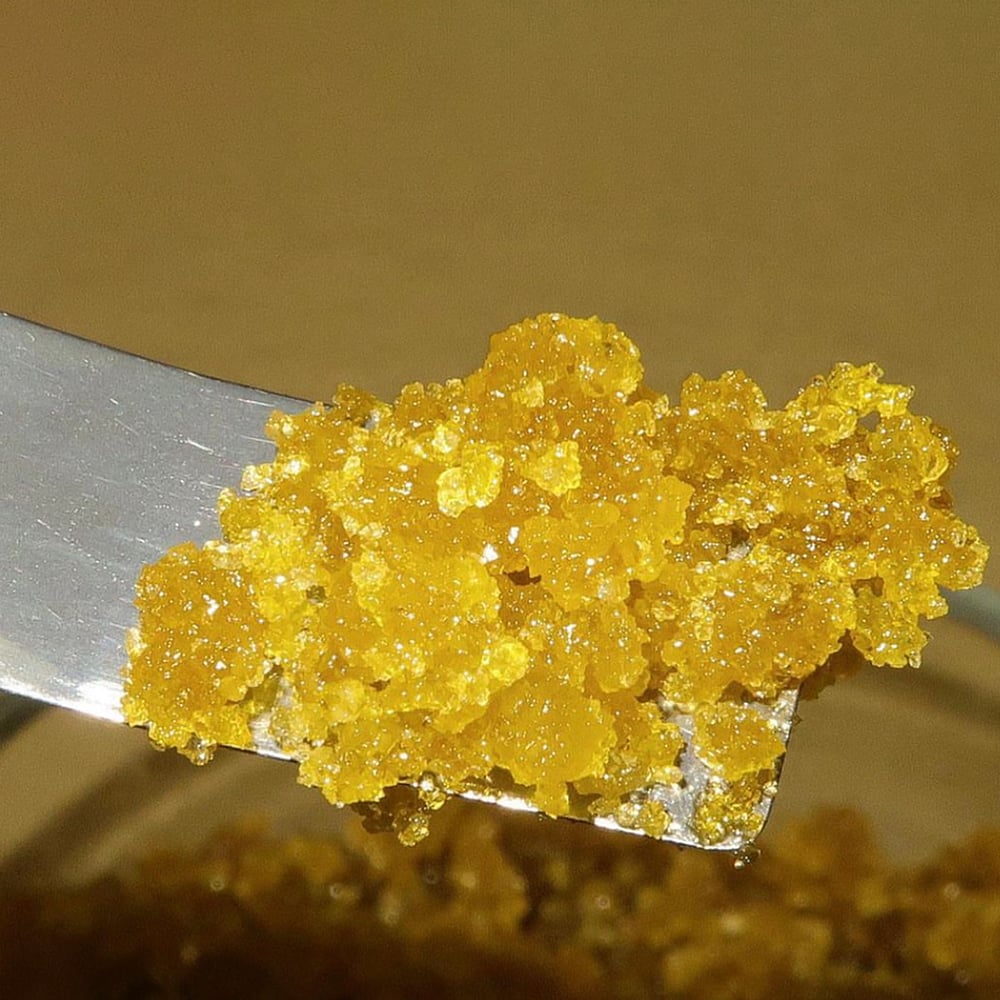 Zealousy [2g] by West Edison