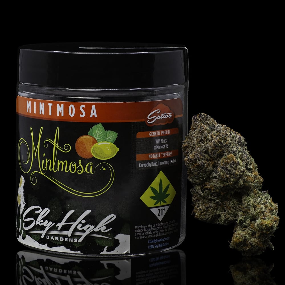 Mintmosa by Sky High Gardens