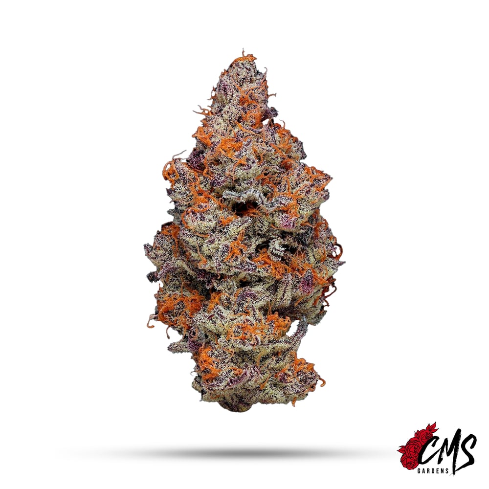 Dulce De Uva by CMS Gardens