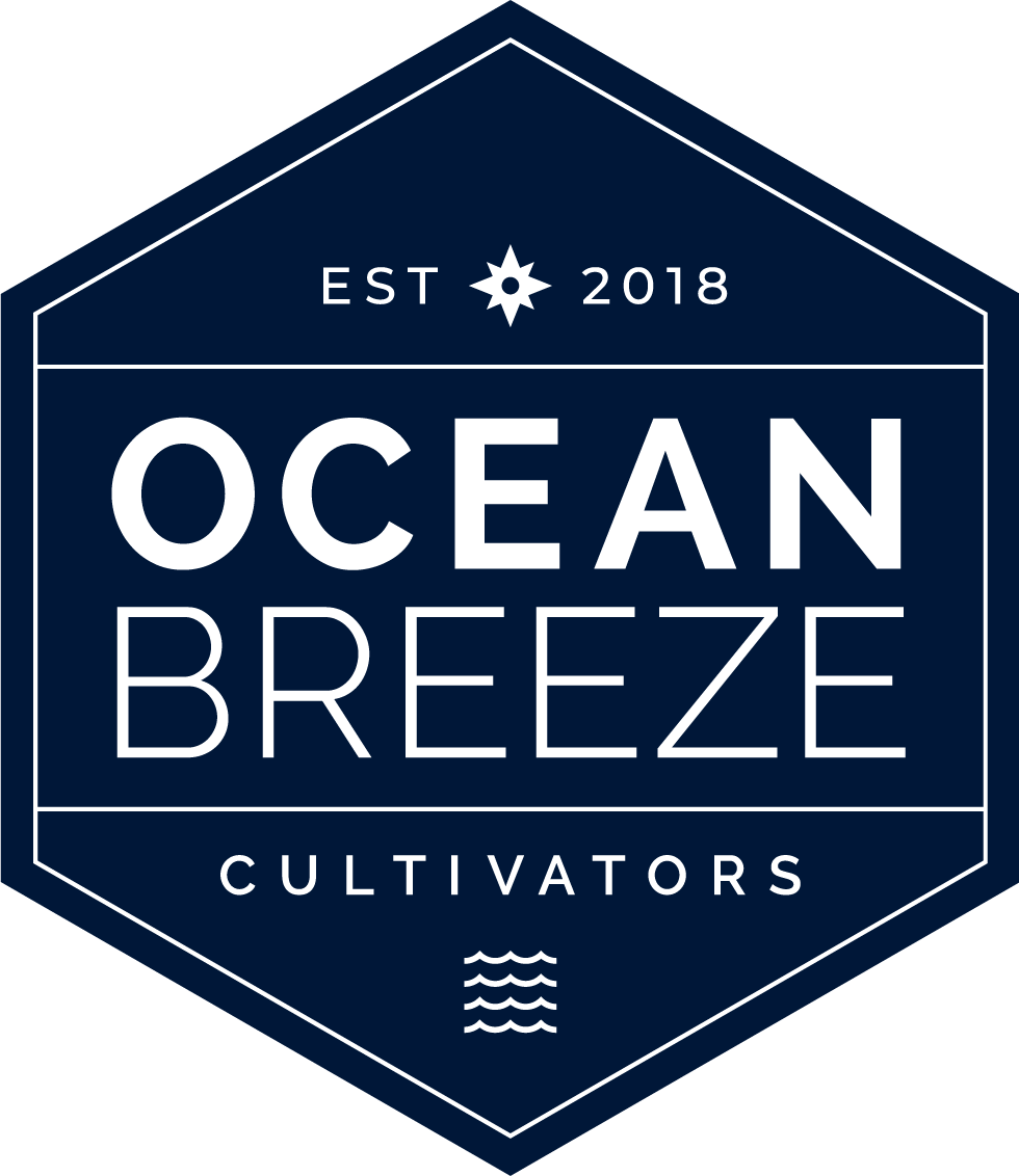 Dark Chocolate Peanut Butter Cups (100mg) by Ocean Breeze