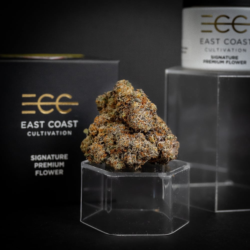 Betty Ford by East Coast Cultivation