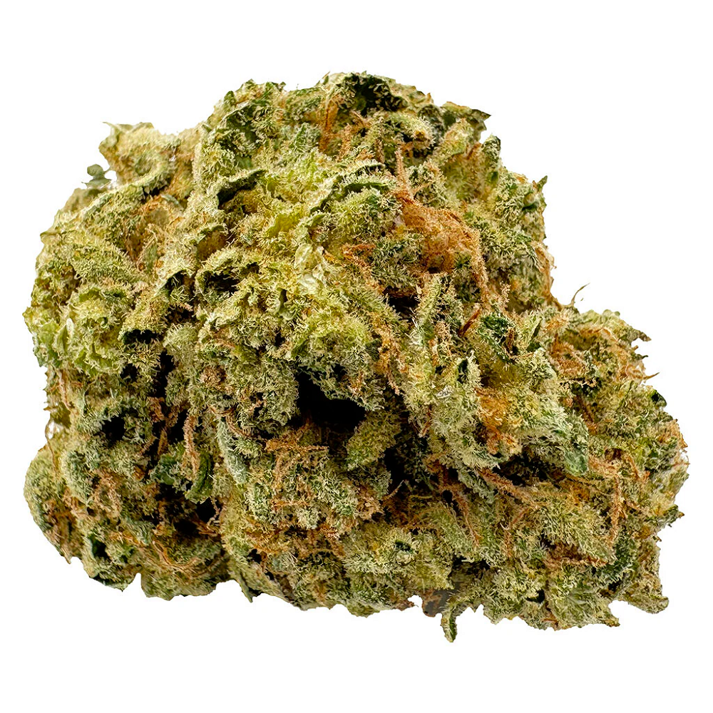 1st Quarter Sativa by Viola