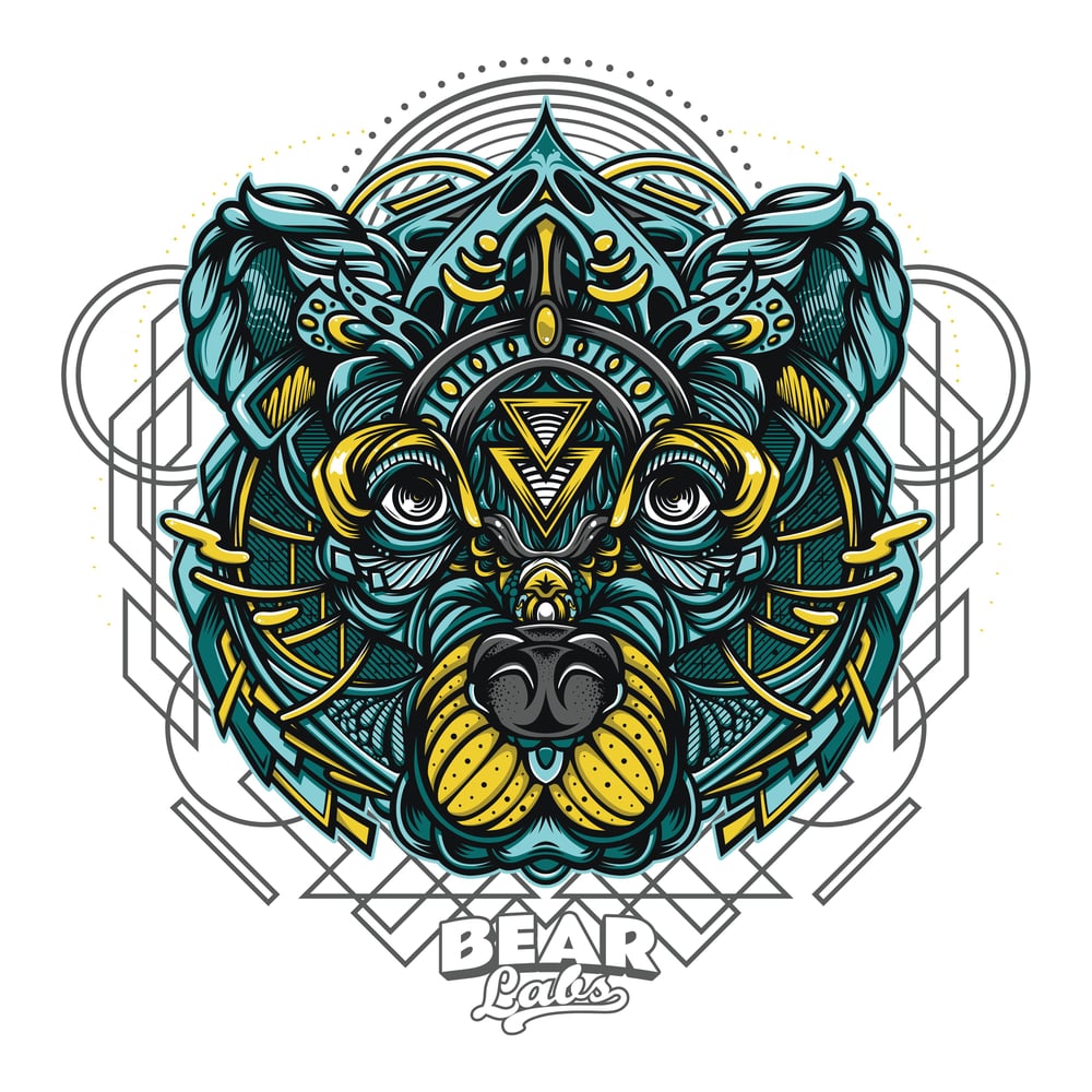 Cap CIty by Bear Labs