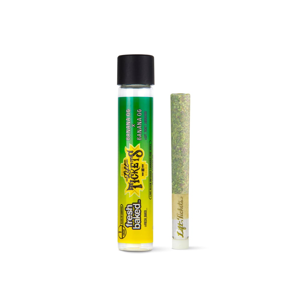 504 GMO x Bananas [.5g] by Lift Tickets