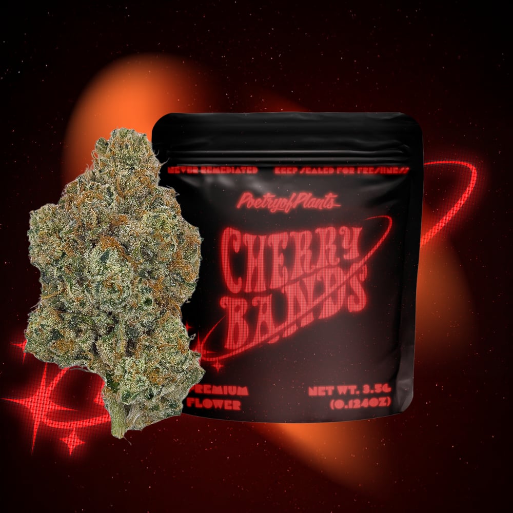Cherry Bands by Poetry of Plants