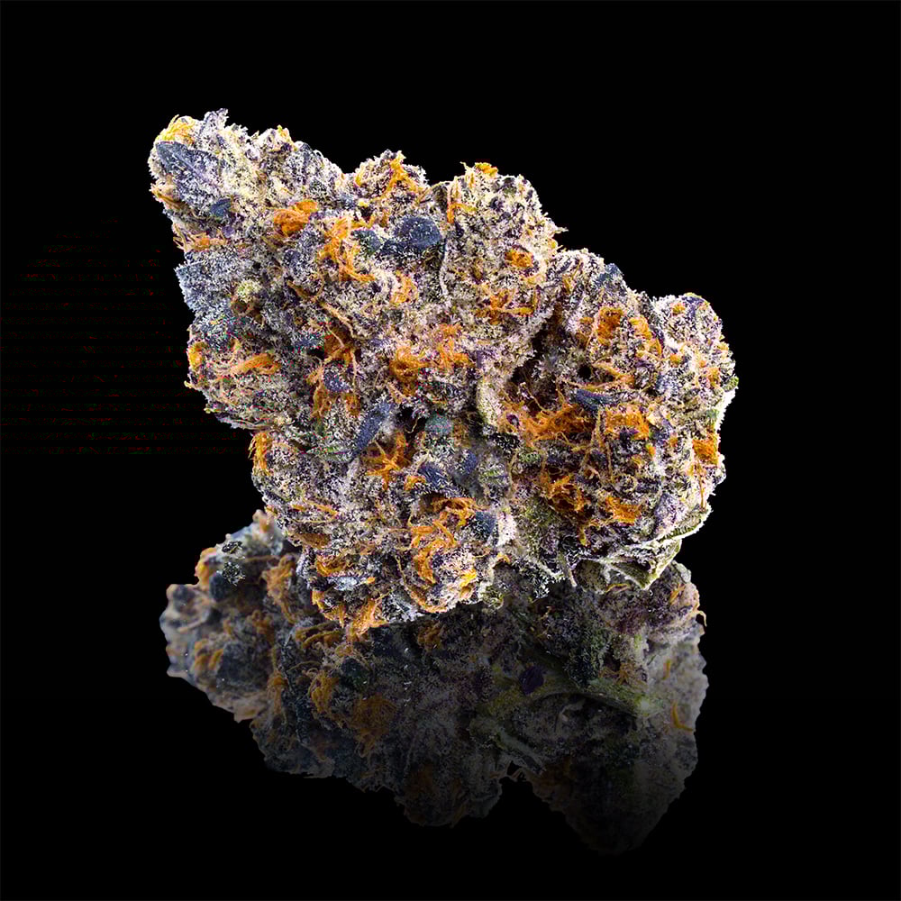 Shop Blue Agapē x 98 Reserve R&D Maven Minis [14g] | ERBA Markets