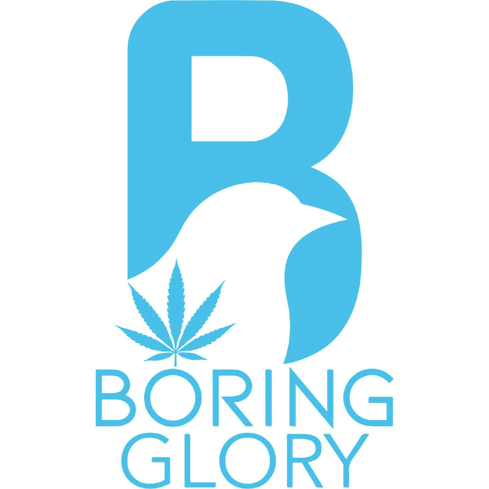 Apple Fritter by Boring Glory