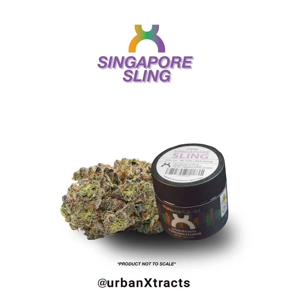 Singapore Sling by Urban Xtracts