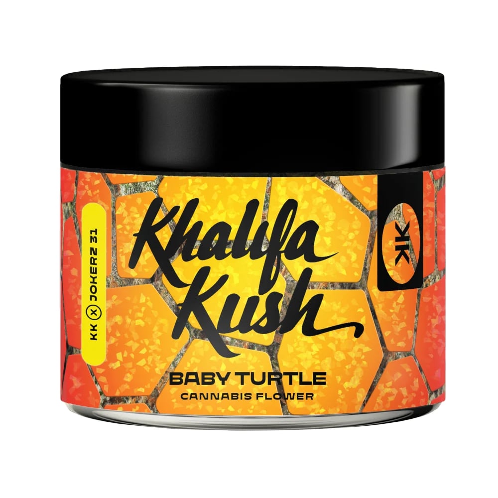 Baby Turtle by Khalifa Kush