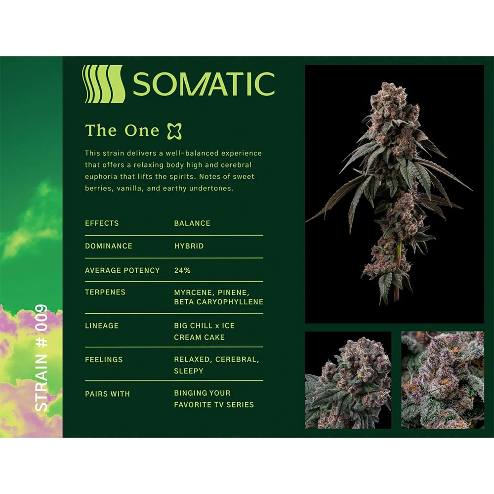 The One by Somatic