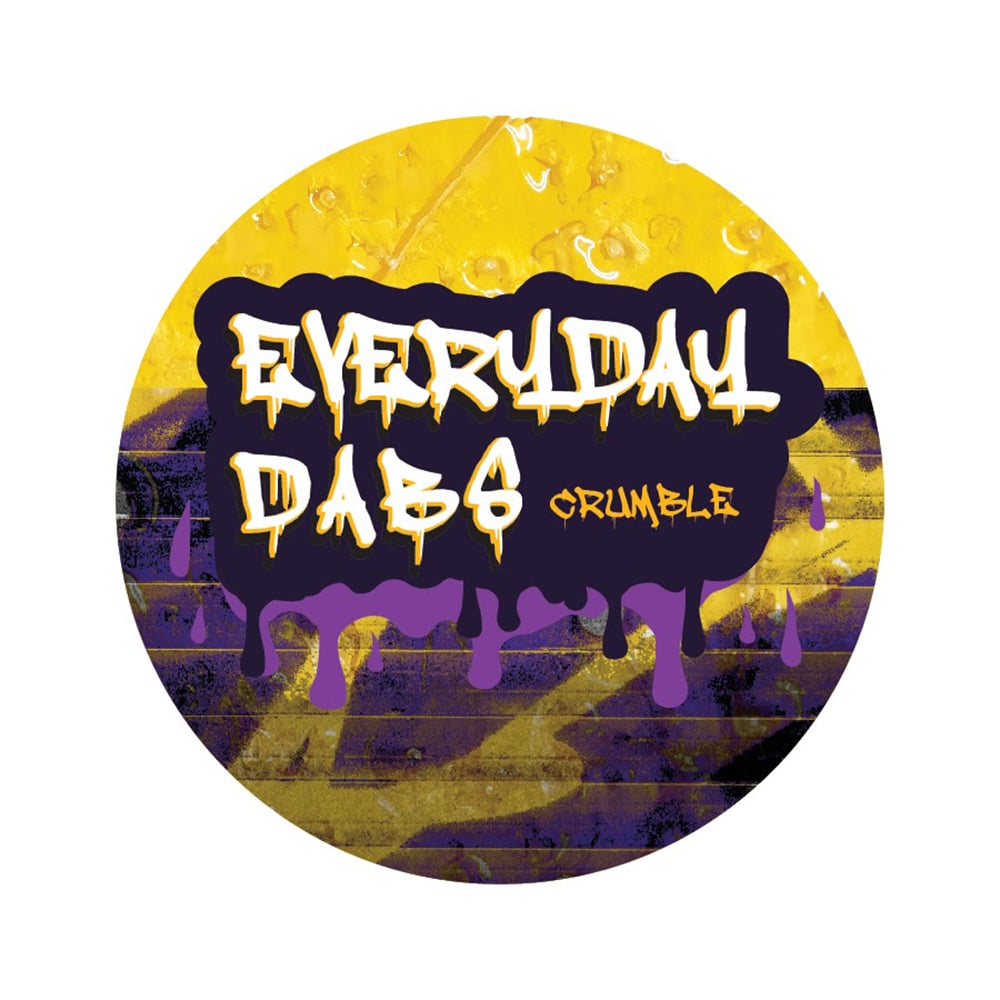 Sour Queso by Everyday Dabs