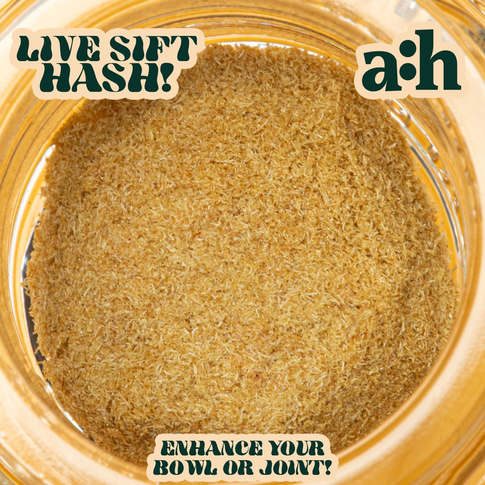 all:hours Super Buff Live Sift Hash 42056 by all:hours