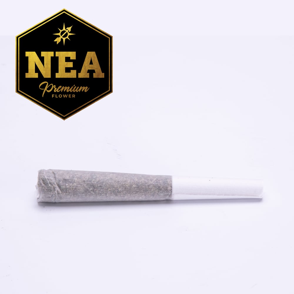Apple Fritter [.5g] by Northeast Alternatives