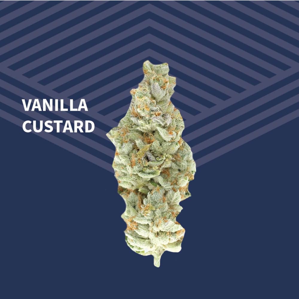 Vanilla Custard by Pure Dakota