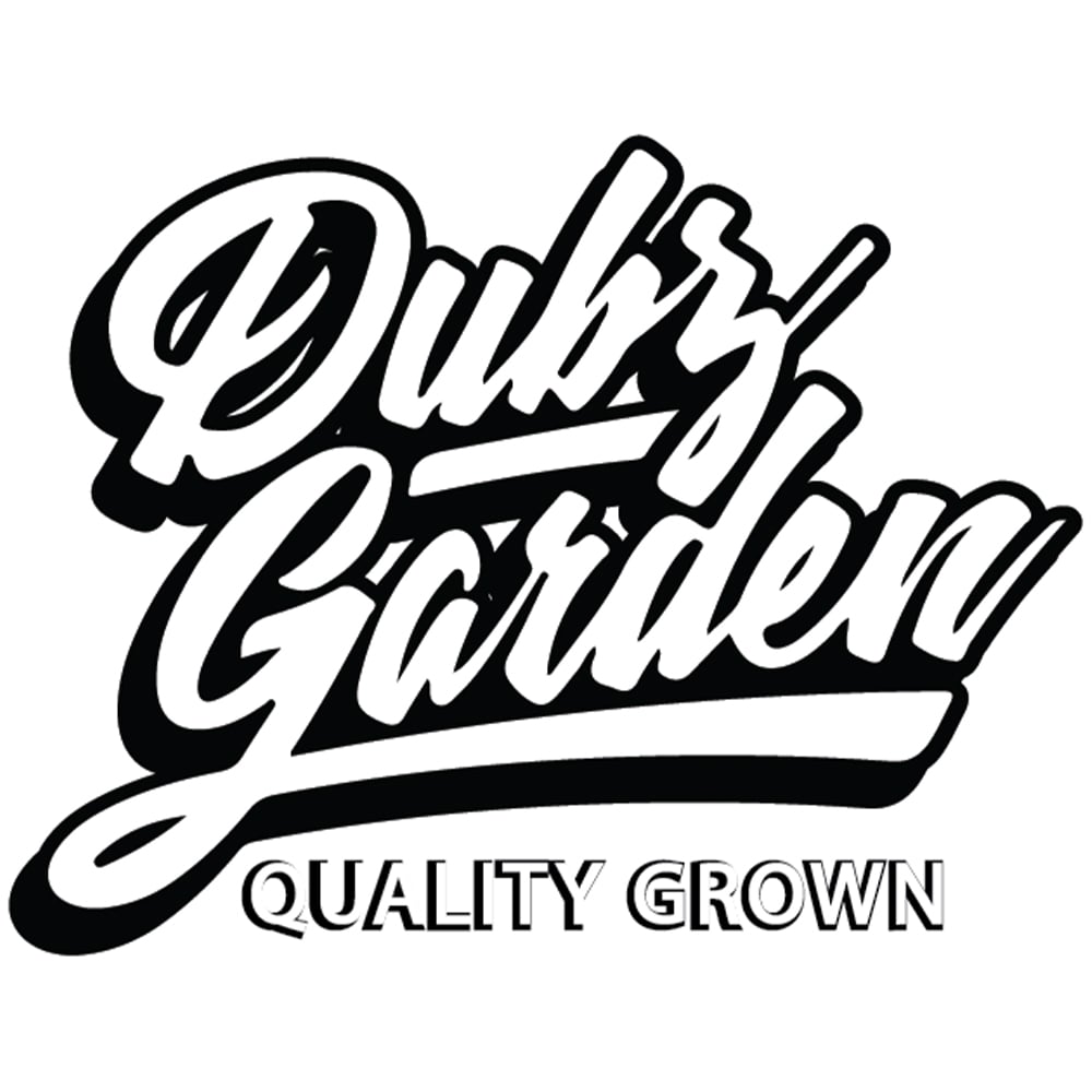 Coconut Horchata by Dubz Garden