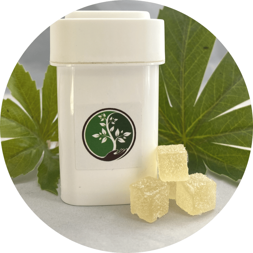 Raspberry [10 doses] by Dharma Pharmaceuticals