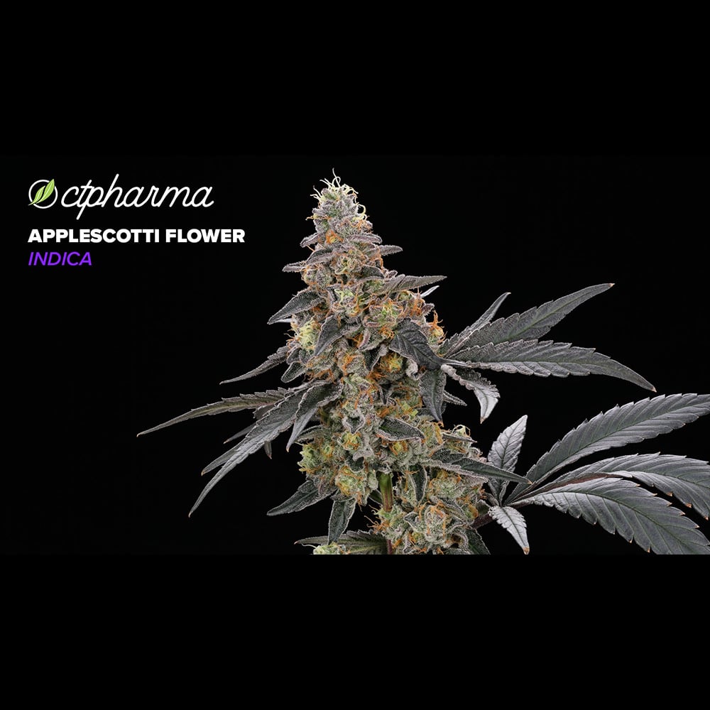 Applescotti Flower I 27100 by CTPharma