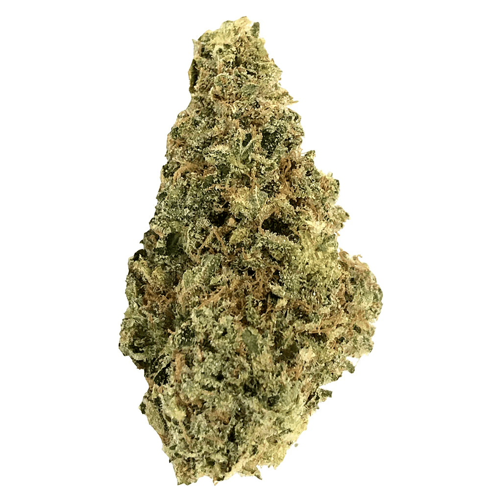 AAA+ Indica by Crooked Dory in Canada