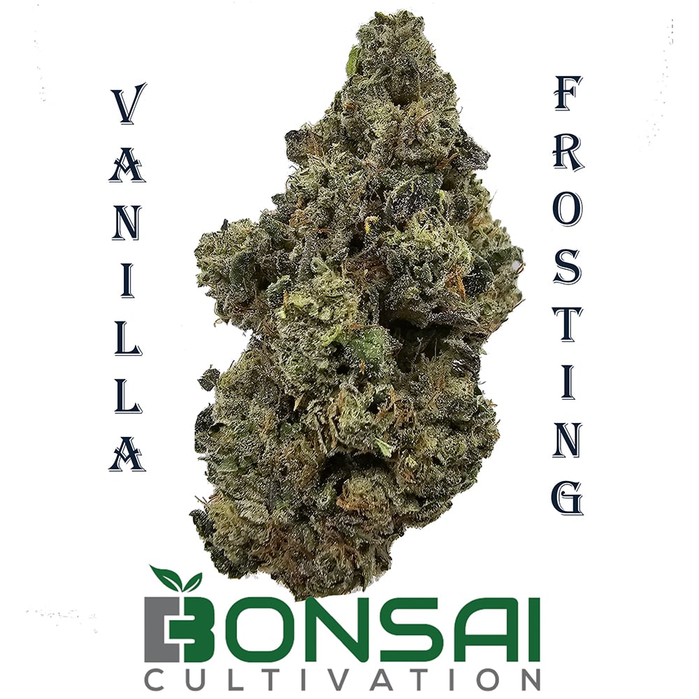 Vanilla Frosting by Bonsai Cultivation