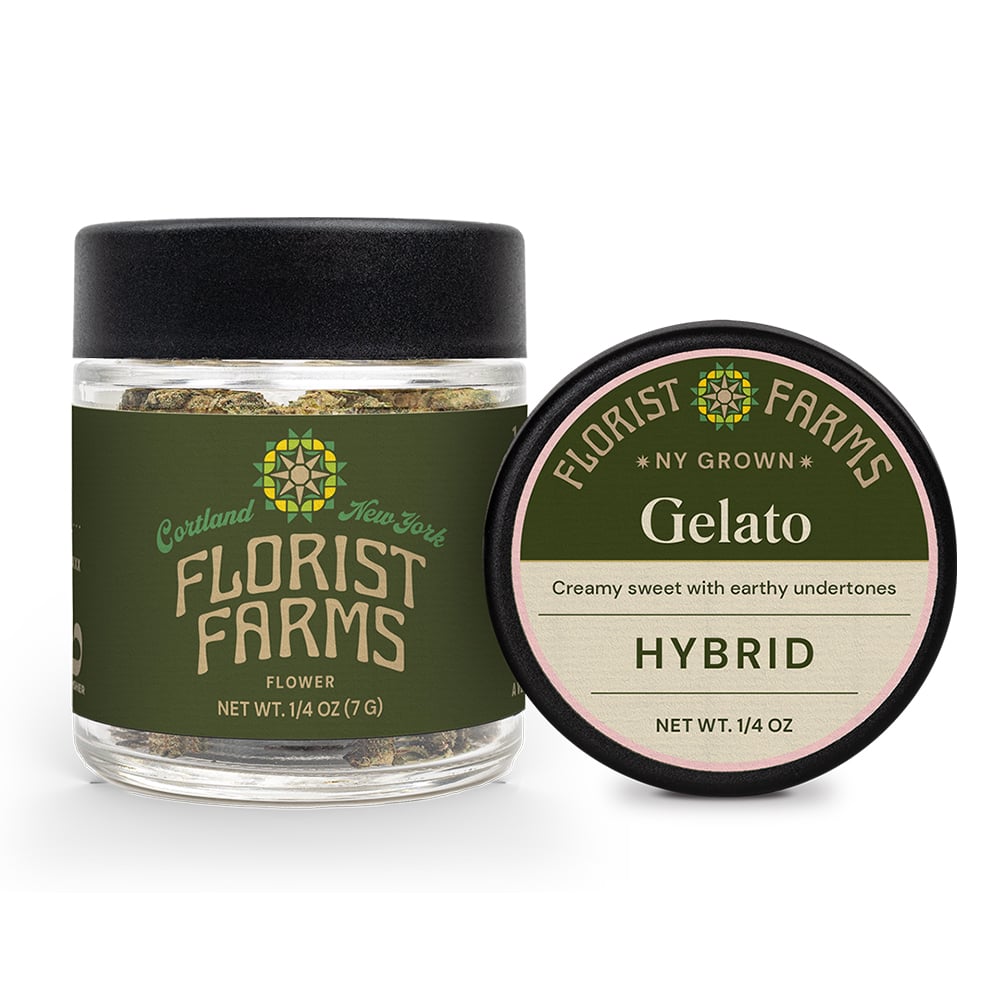 Gelato | Hybrid by Florist Farms
