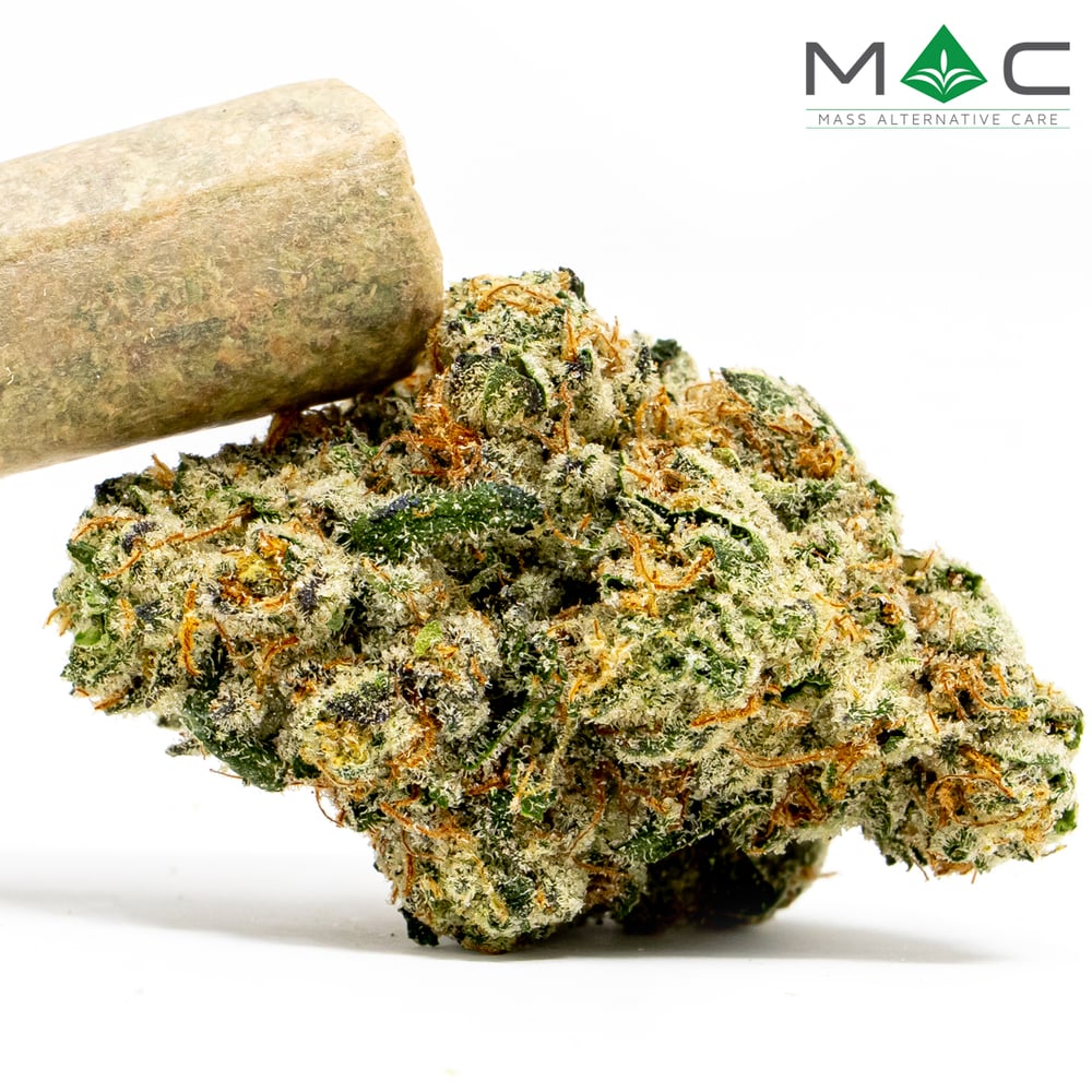 Twisted Churro #8 [1g] by Mass Alternative Care (MAC)