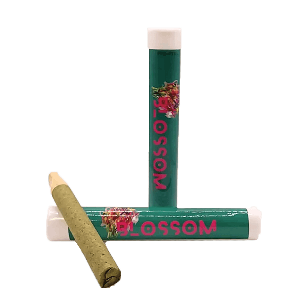 Amnesia Haze [1.2g] by Blossom