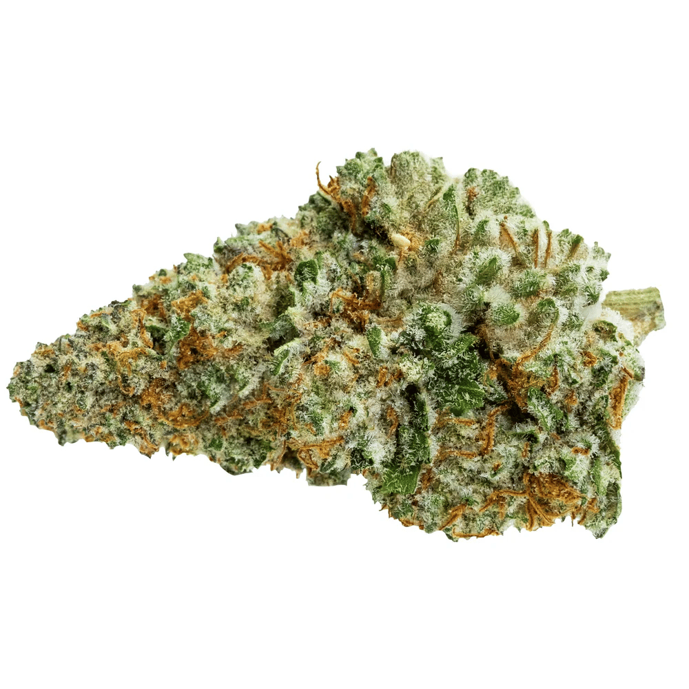 Queen Green by Pure Sunfarms