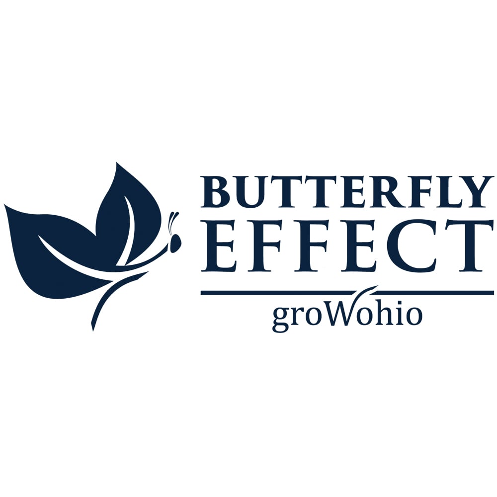 Zahiti Triangle [28.3g] by Butterfly Effect