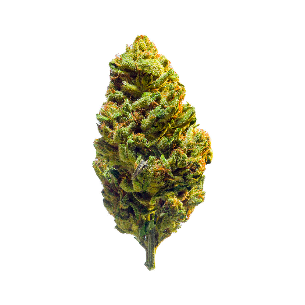 1:1 Hybrid by Redecan