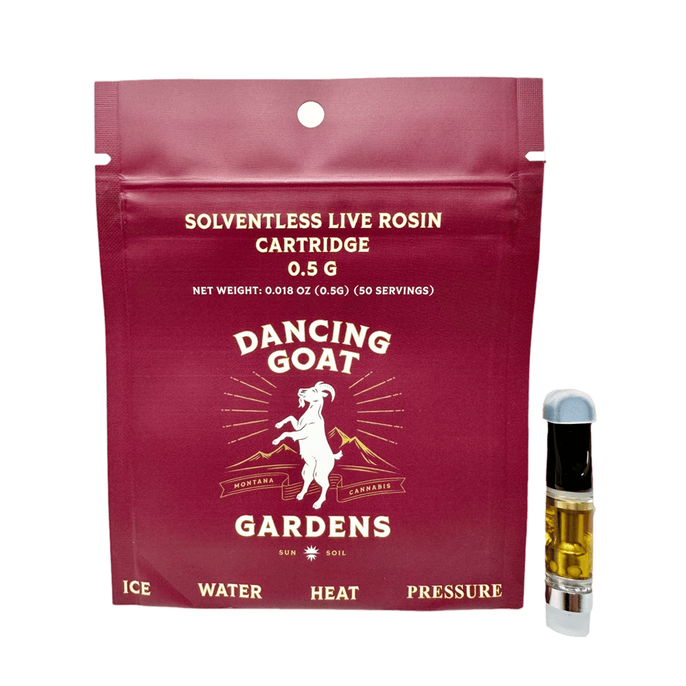 Silver Queen by Dancing Goat Gardens