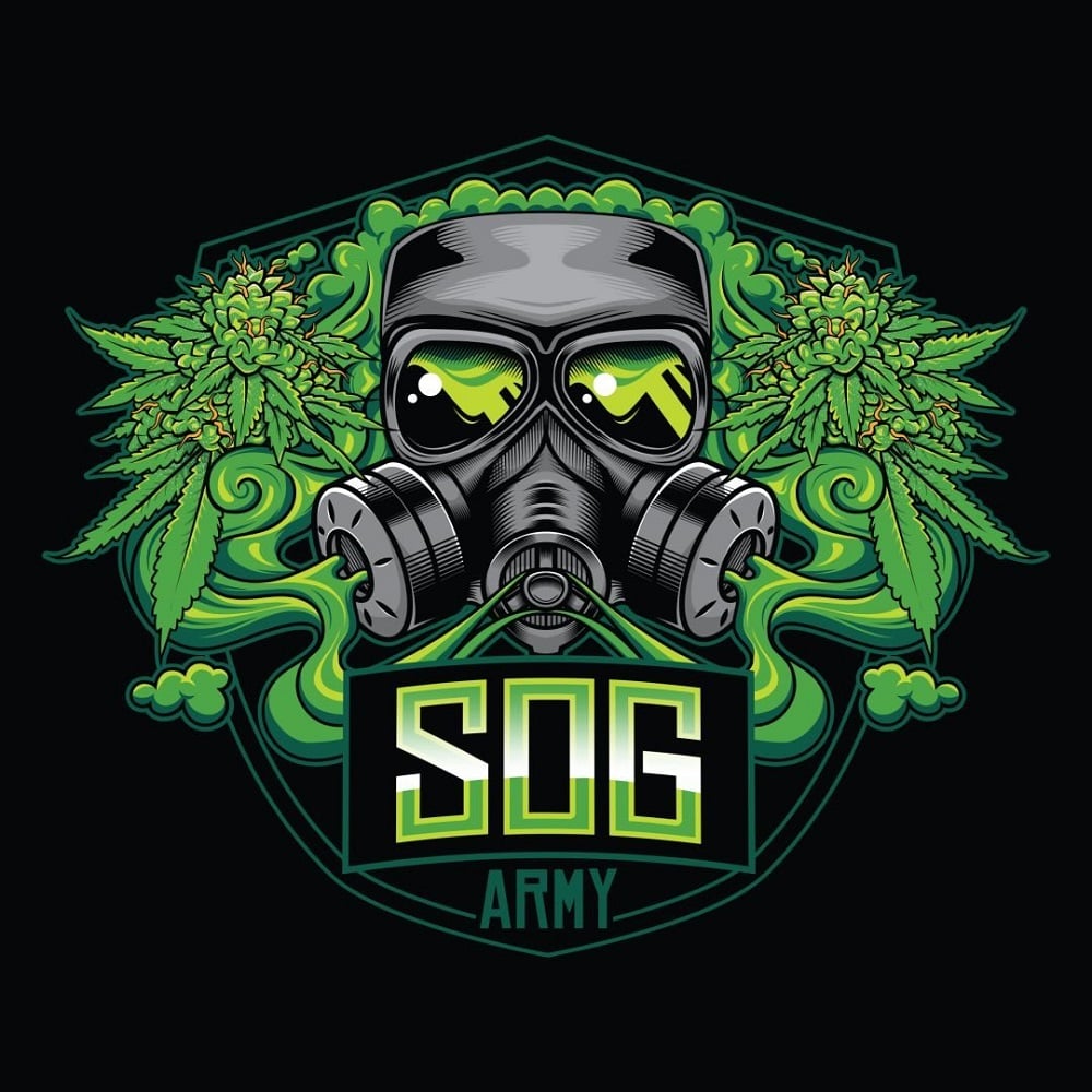 Amnesia Haze by SOG Army