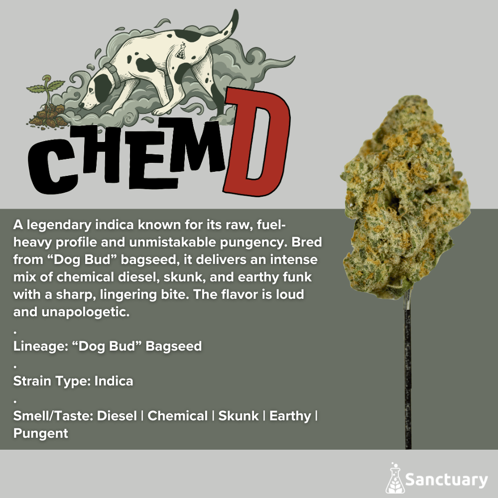 Whole Buds - Chem D by Sanctuary