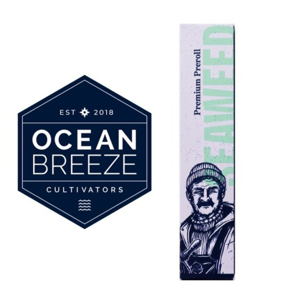 Coconut Milk [1g] by Ocean Breeze