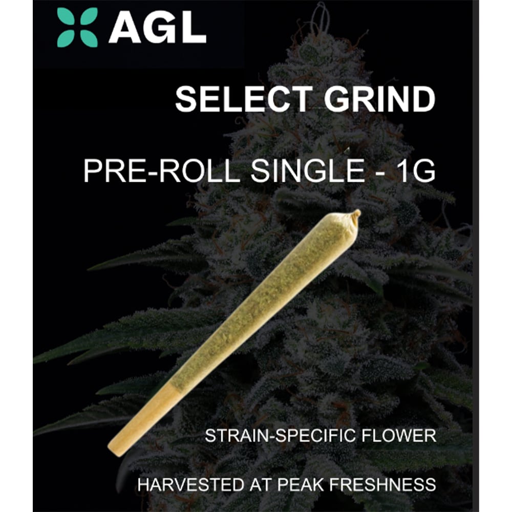 AGL 1g Pre Roll OMG (H) 00580 by Advanced Grow Labs (AGL)