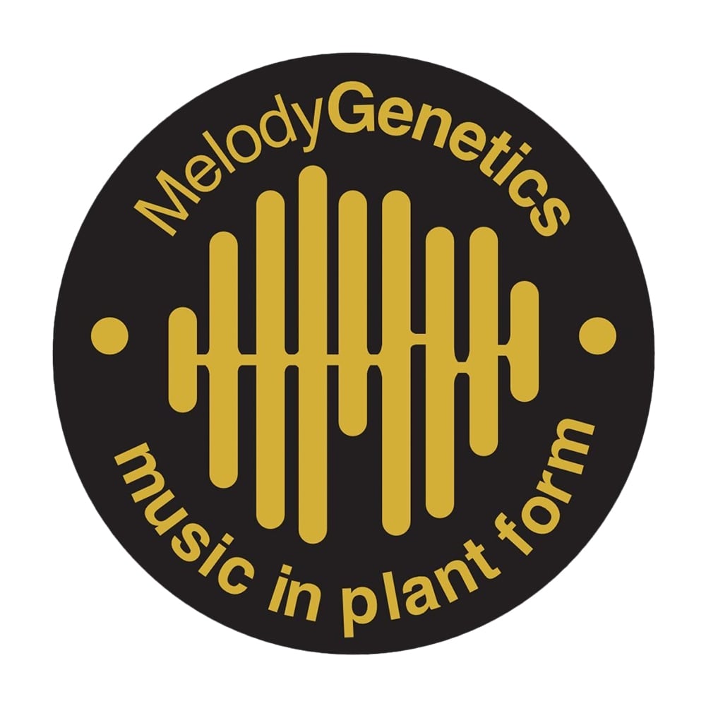Shawdank Redemption by Melody Genetics