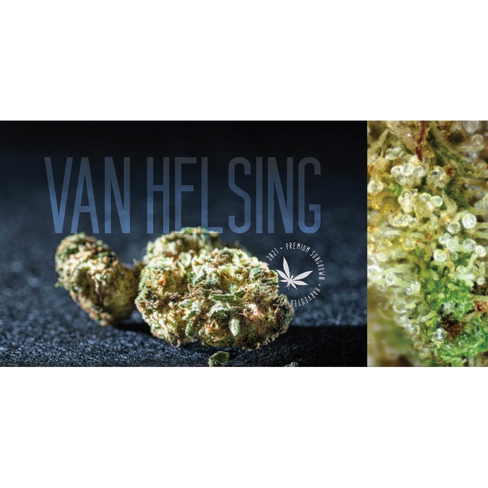 Van Helsing by Grasshopper Farms