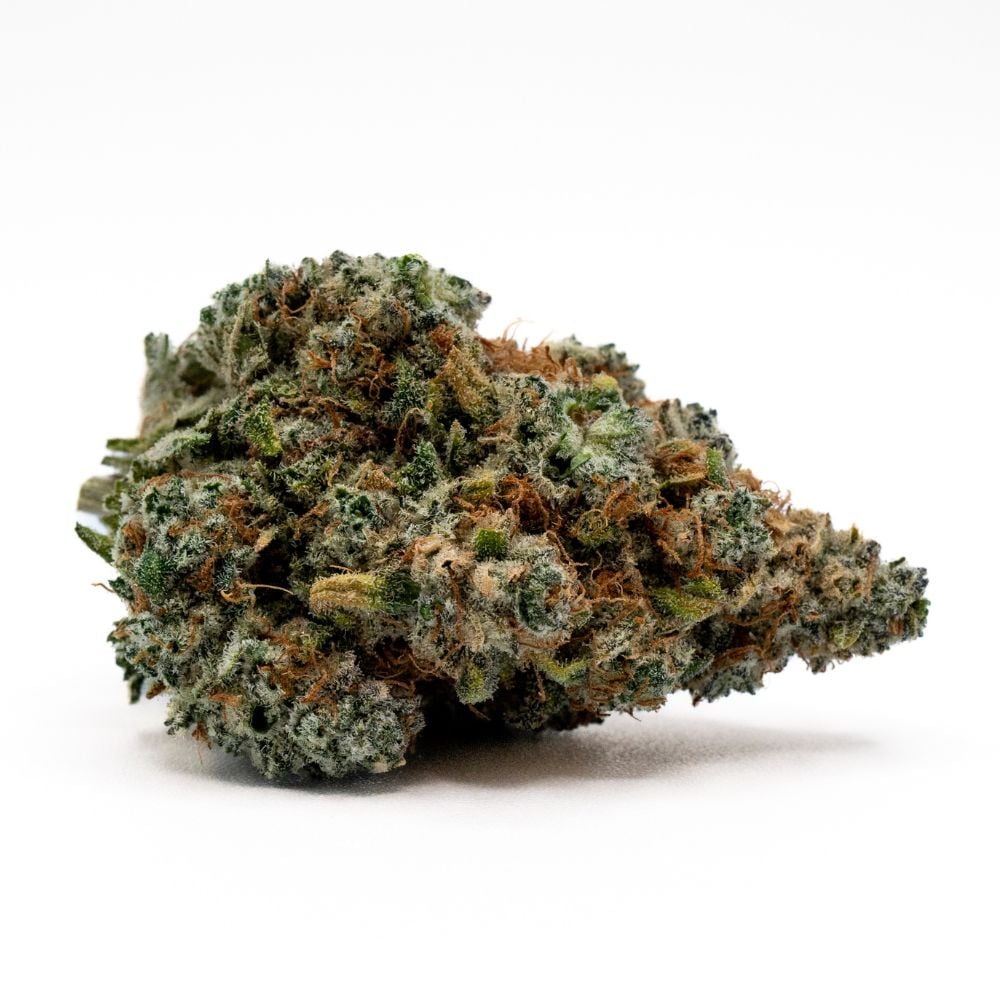 Tamarindo by Flower Foundry