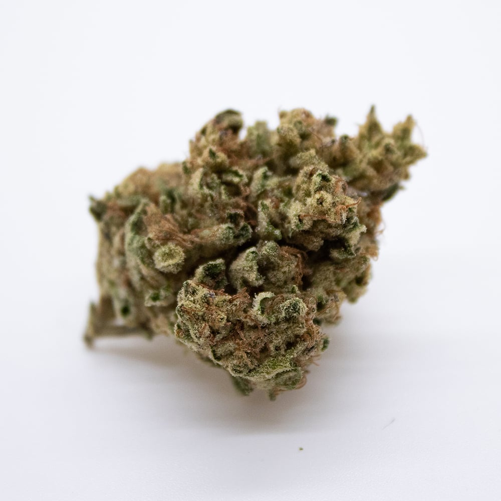 Banana Cream by Minerva Canna