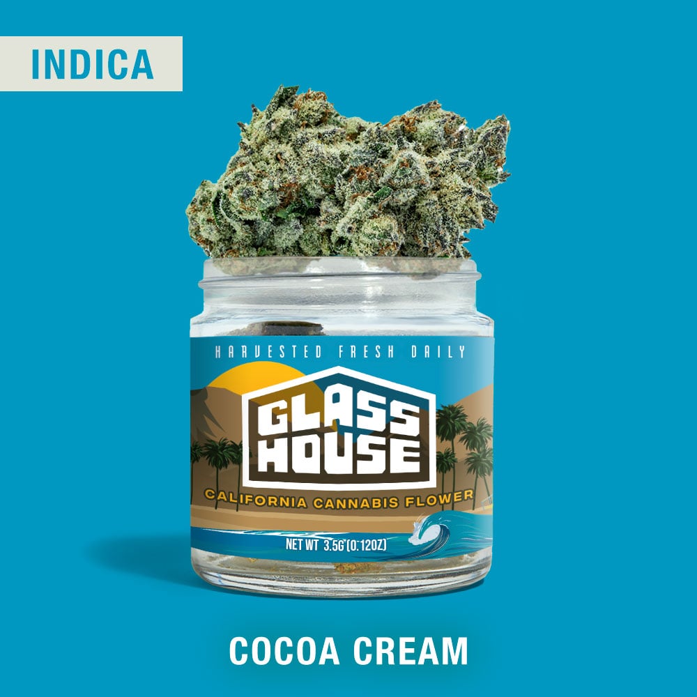 Cocoa Cream by Glass House Farms