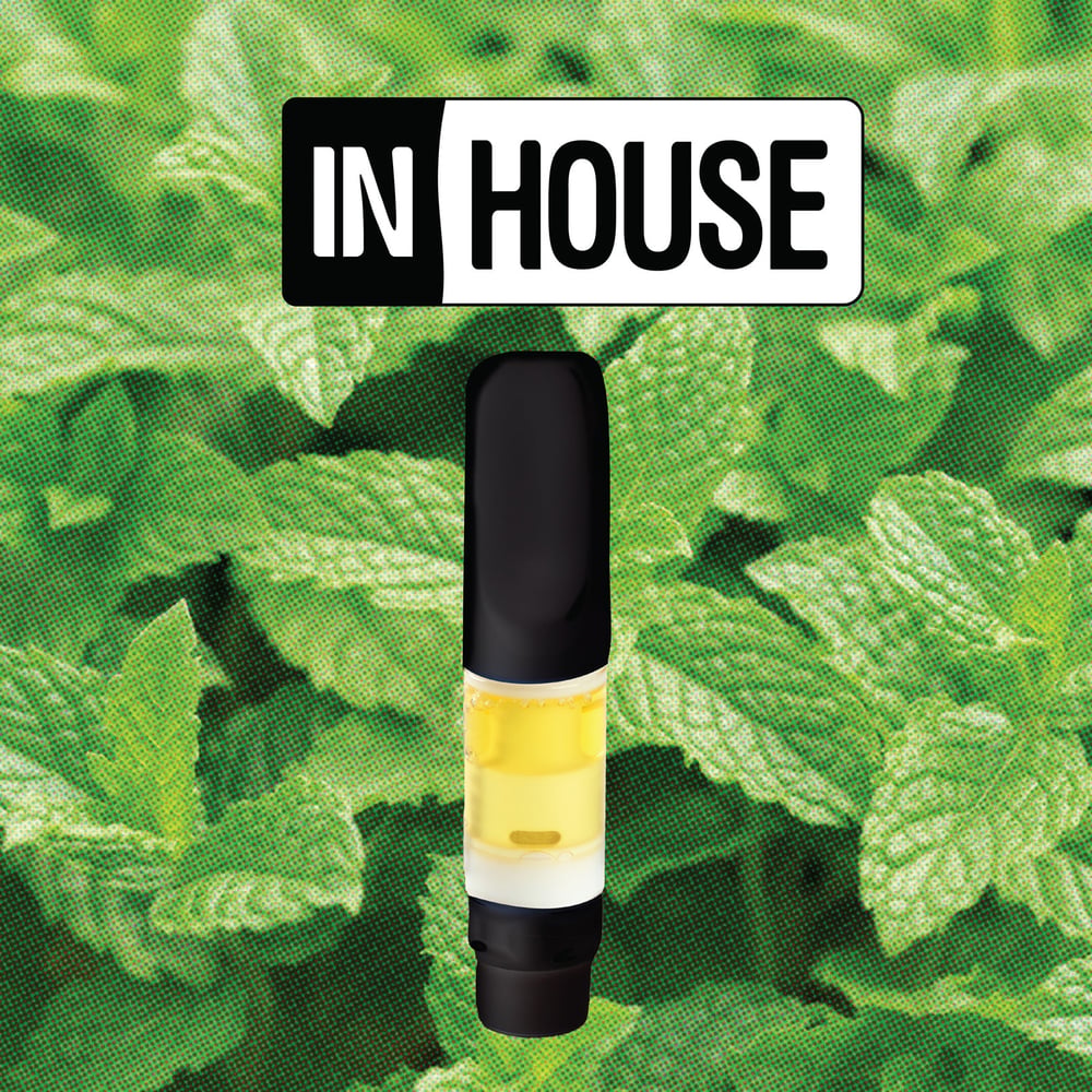 1:1 Cool Mint by InHouse